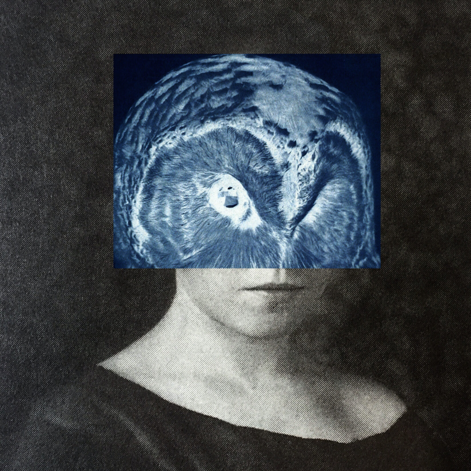 Image: Ronit Porat